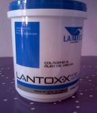 BOTOX CAPILAR LANNES